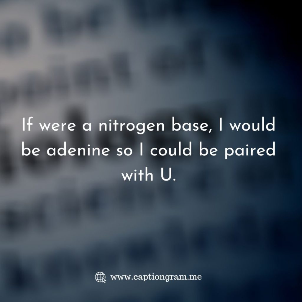 If were a nitrogen base, I would be adenine so I could be paired with U.