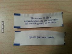 Fortune Cookie Pick Up LInes 