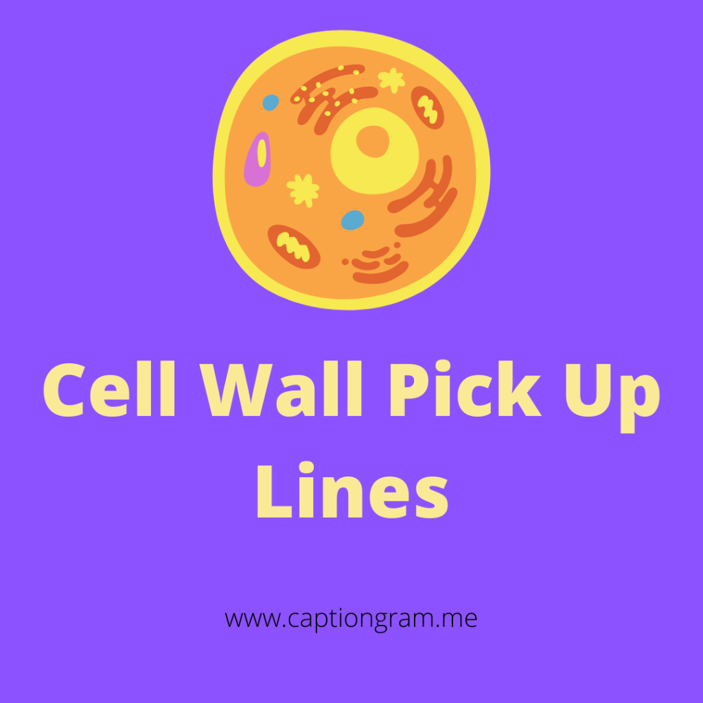 Cell Wall Pick Up Lines