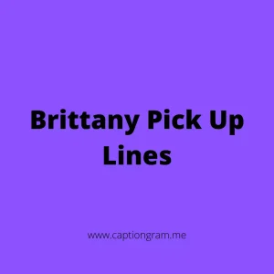 Brittany Pick Up Lines