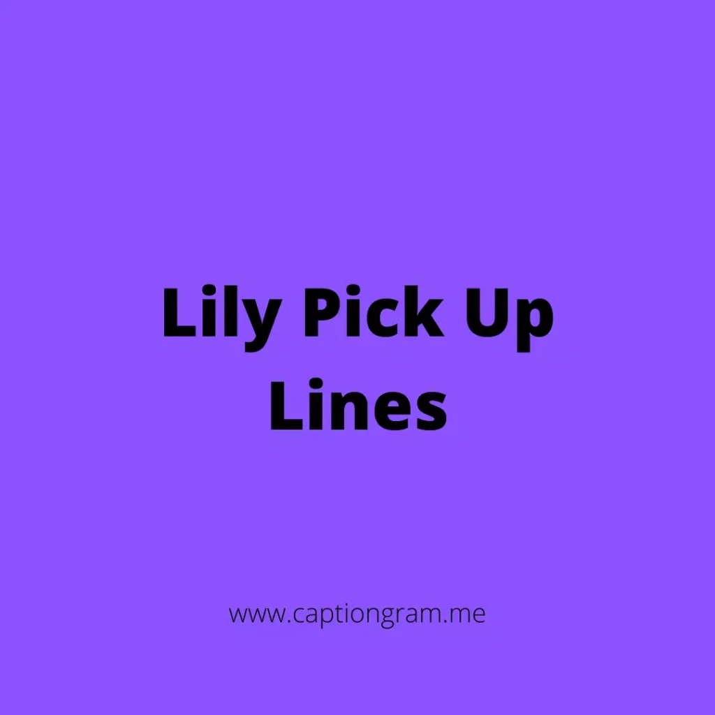 Lily Pick Up Lines