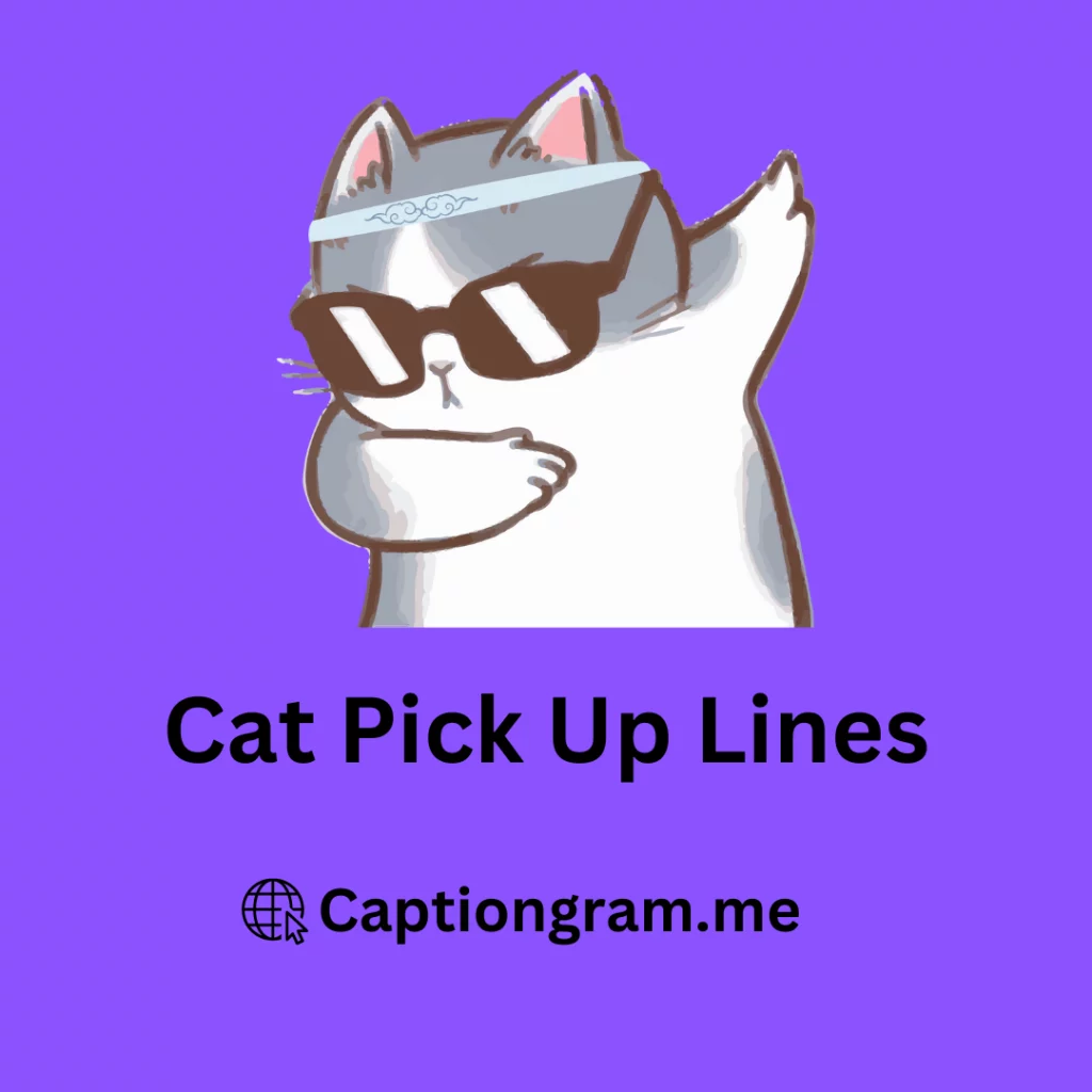 Cat Pick up lines